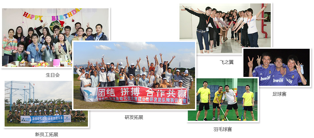 ng电子游戏(中国集团)官方网站