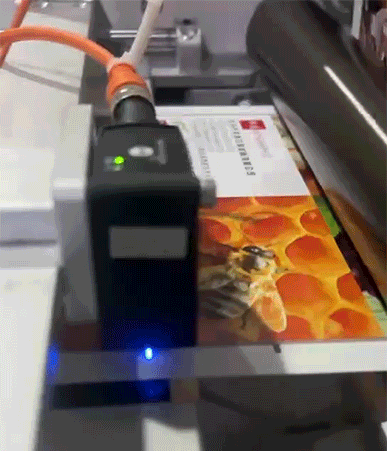 ¶¨³¤.gif ¶¨³¤.gif